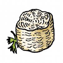 νησιώτικο τυρί, Λήμνος, γαλακτοκομικά