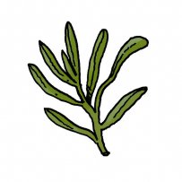 αρωματικό βότανο, γαλλικό μείγμα αρωματικών