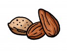 nut, almond, healthy, almond tree, marzipan