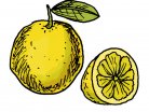 citrus, fruit, juice