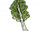 beet, greens, vegetabes, spinach