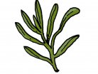 αρωματικό βότανο, γαλλικό μείγμα αρωματικών