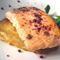 320 x 320: FOOD - GRILLED SALMON FILLET
