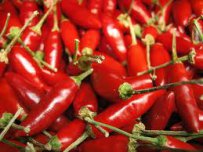 What to Do with Hot Pepper