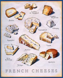 Οι οικογένειες των γαλλικών τυριών 