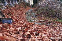 Greece: Pelion in Autumn