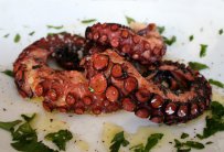 Quick and Easy Octopus