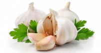 Garlic, eating healthy on a budget
