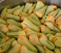 Stuffed Courgette Flowers 