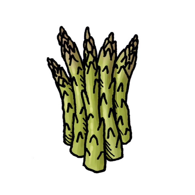 vegetable, spring, green asparagus