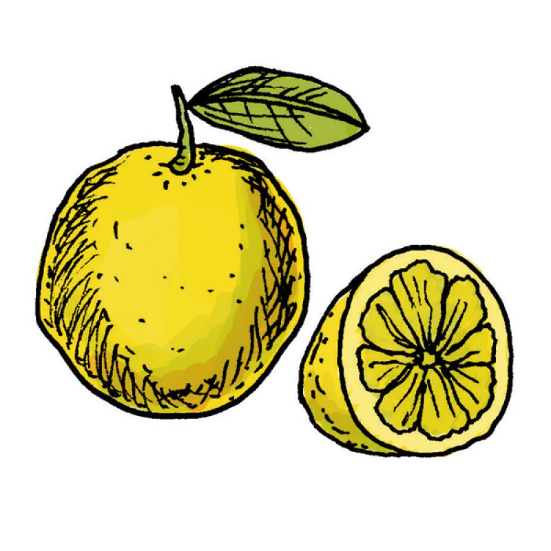 citrus, fruit, juice