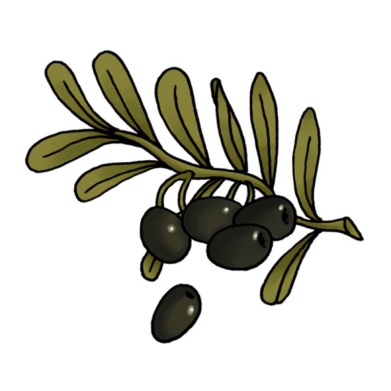 olive oil, Mediterranean, olive tree