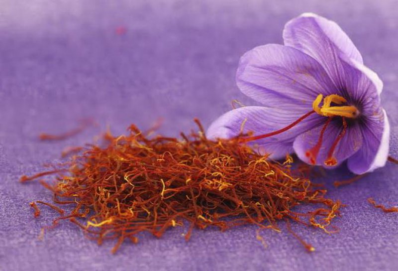 Saffron, Kozani's Precious Flower