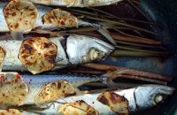 FOOD - FISH - BAKED MACKEREL WITH LEMON