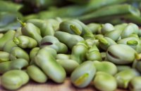 Spring's Sweet and Fresh Fava Bean