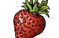 φράουλα, φρούτα