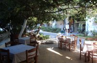 Stavros’ ouzo place: urban green at its best