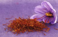 Saffron, Kozani's Precious Flower